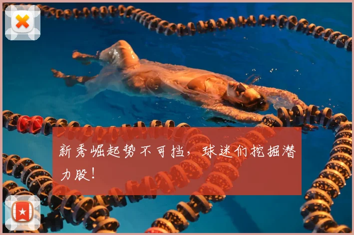 新秀崛起势不可挡，球迷们挖掘潜力股！