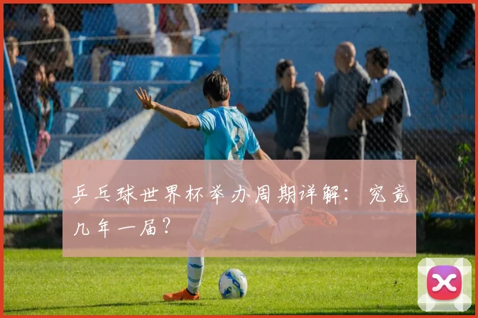乒乓球世界杯举办周期详解：究竟几年一届？